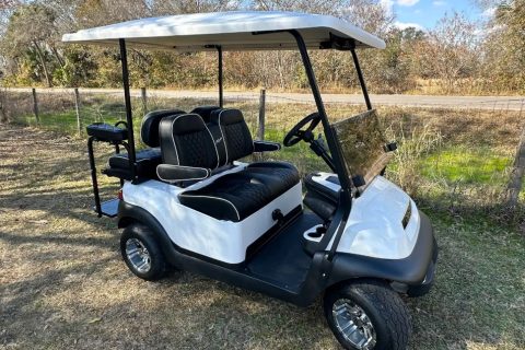 Okee Tantie Carts - Okeechobee FL2